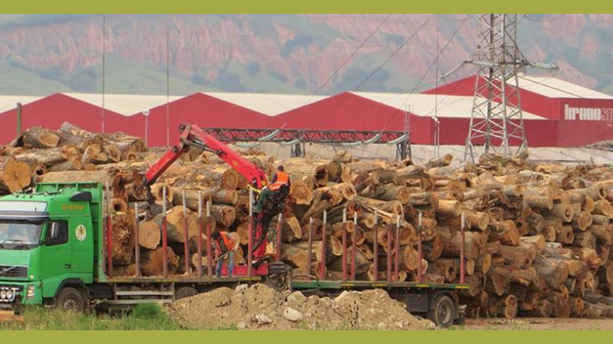 #EchoChamberDisruption – Expand Your Tree Knowledge