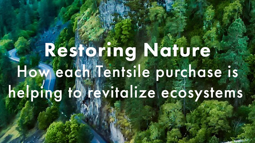 Restoring Nature
