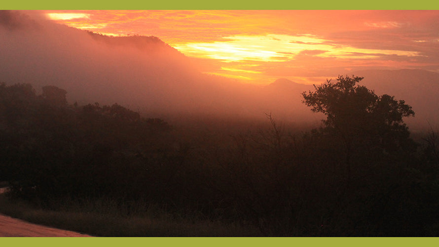 #EchoChamberDisruption: A Journey Across Africa In Search of Success