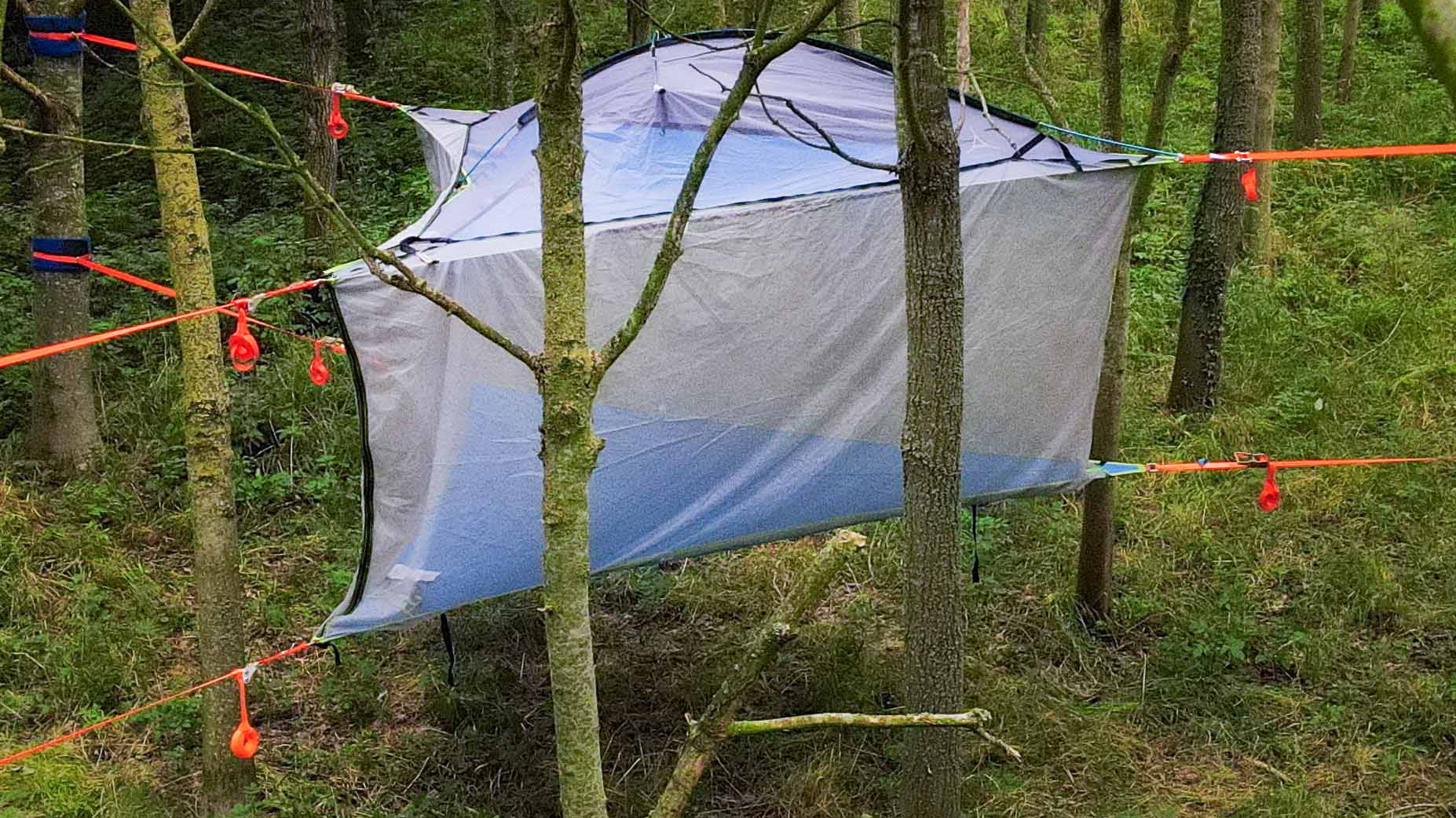 Finding The Right Trees for Your Tree Tent