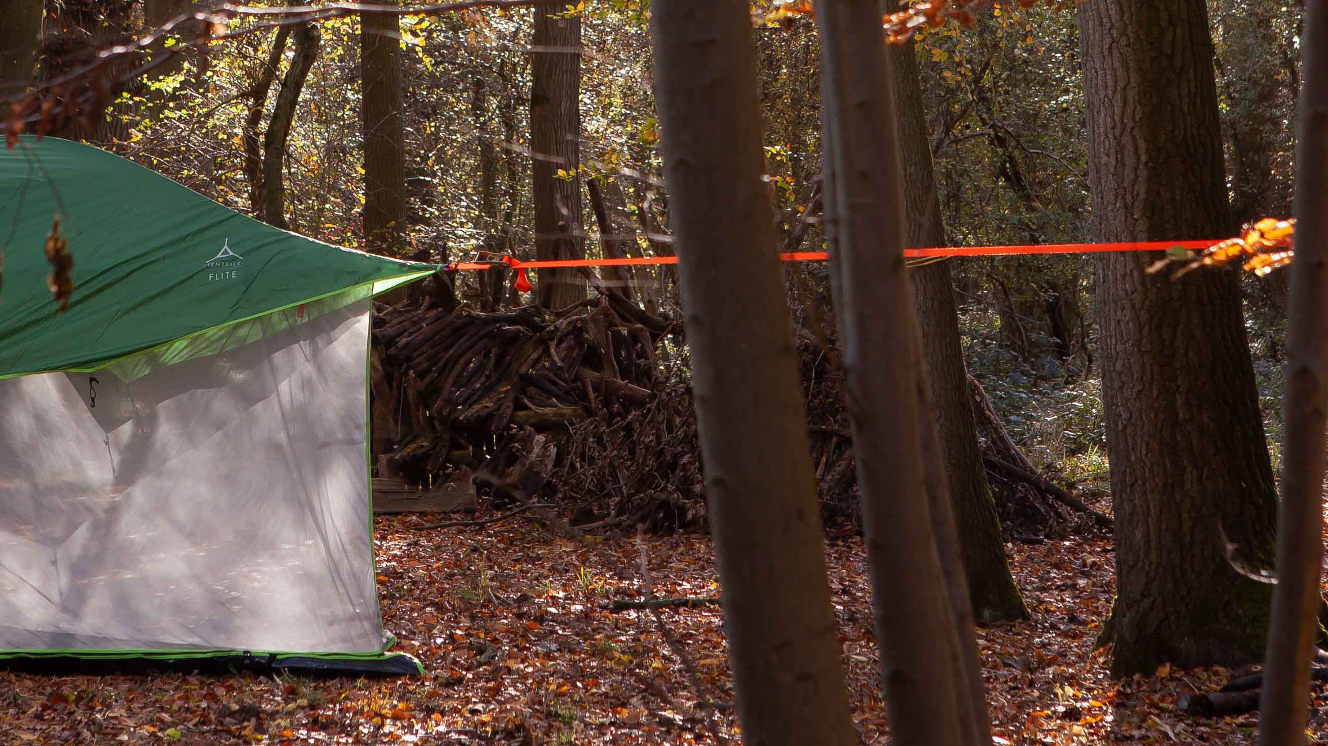 How to Keep Bugs and Insects Out When Camping with a Tree Tent