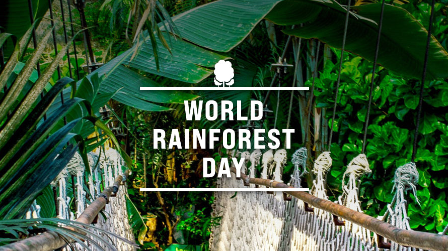 Agent Green: Saviour of the Forests