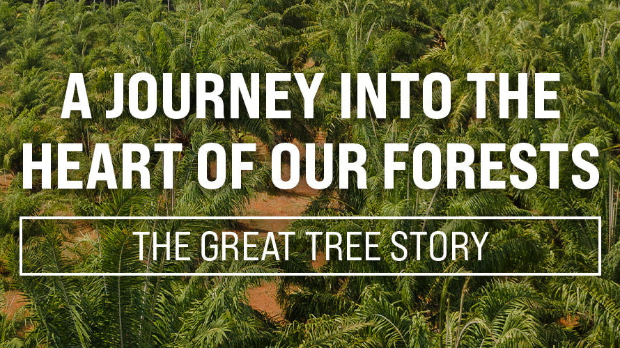 The Great Tree Story LIVE: A Journey into the Heart of Our Forests