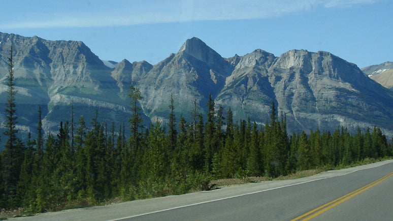 Camping in America – The Best Camping Spots Across the US