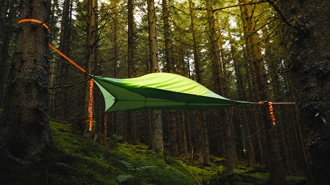 Tentsile Tree Tent suspended in lush forest. 