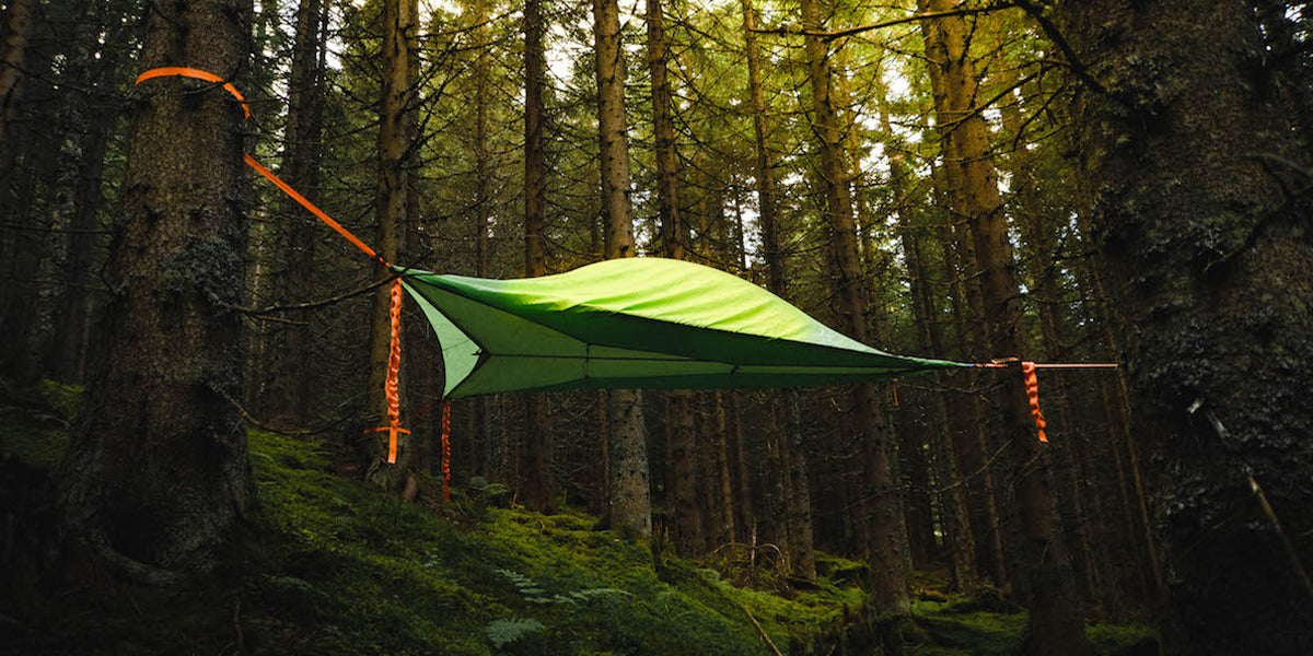 Tentsile Tree Tent suspended in lush forest. 