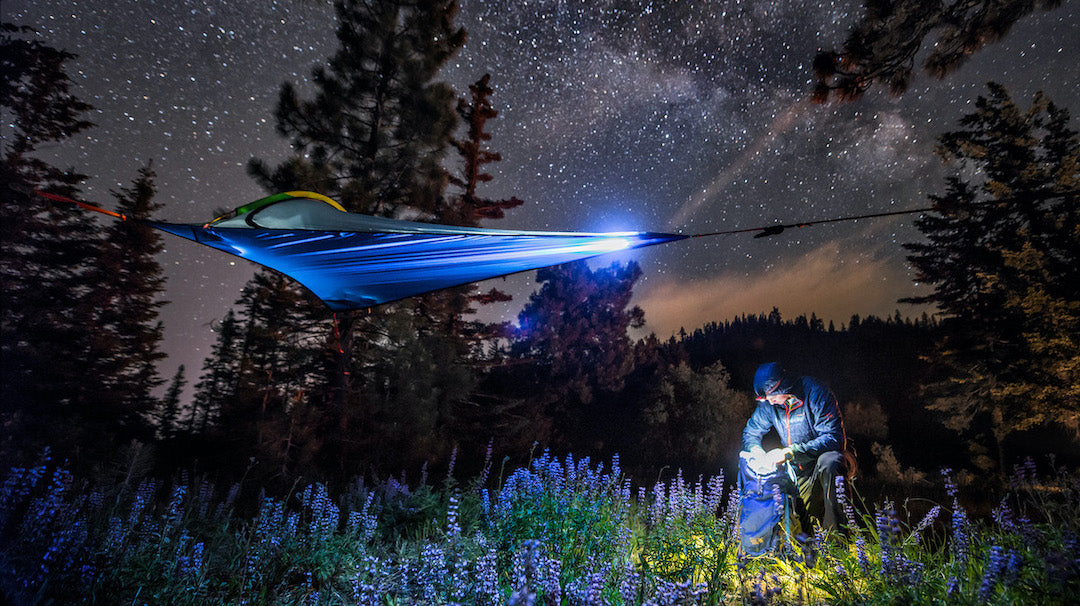 Where To Hang Your Camping Hammock