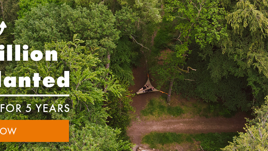 Tentsile Plants a Million Trees #BecomeOneOfTheMillion