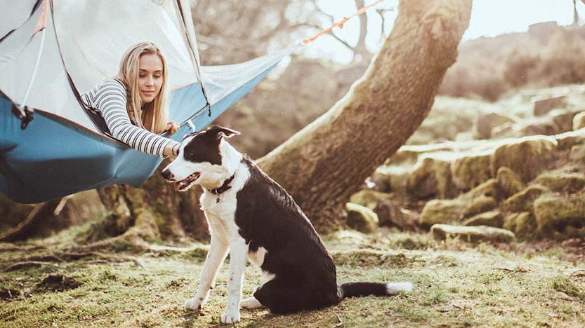 Tips on Camping with your Pet