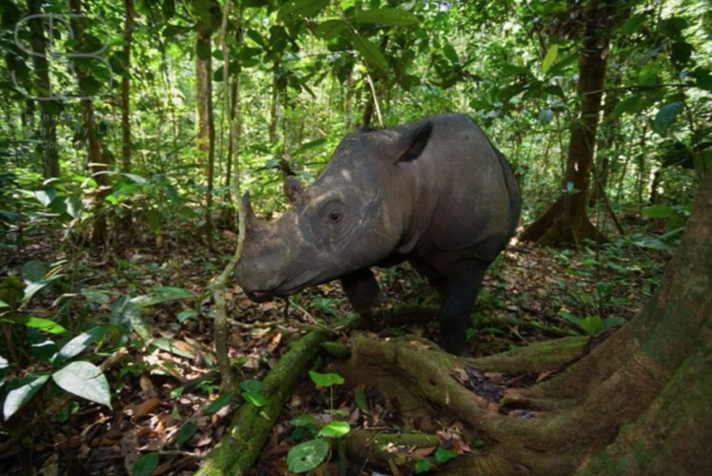 Interview with the Complete Guide to Archery