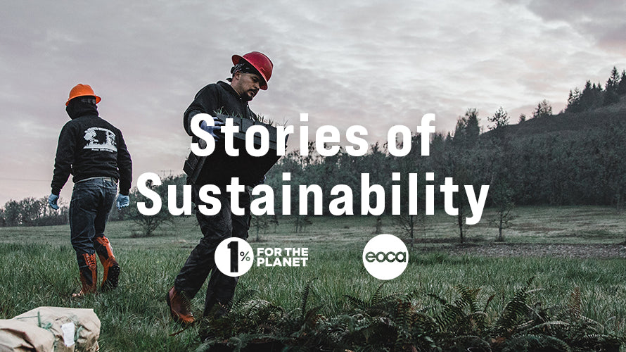 Stories of Sustainability