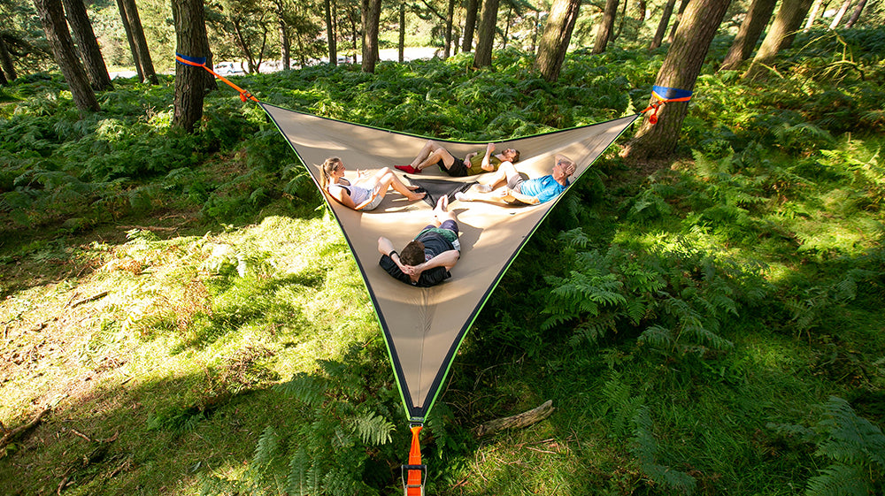 Tentsile's 9th Birthday + Tree Planting Raffle