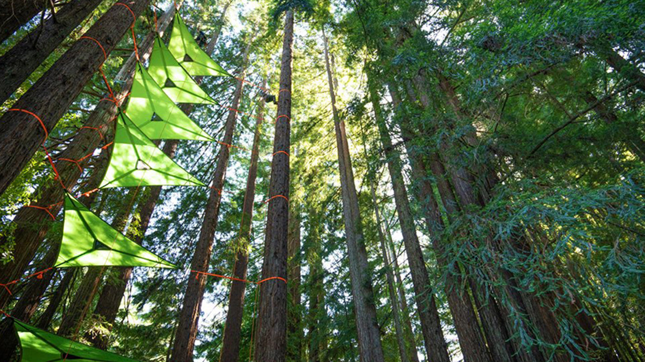 Tentsile Camp Outs: Celebrating our Tree Tent Festivals