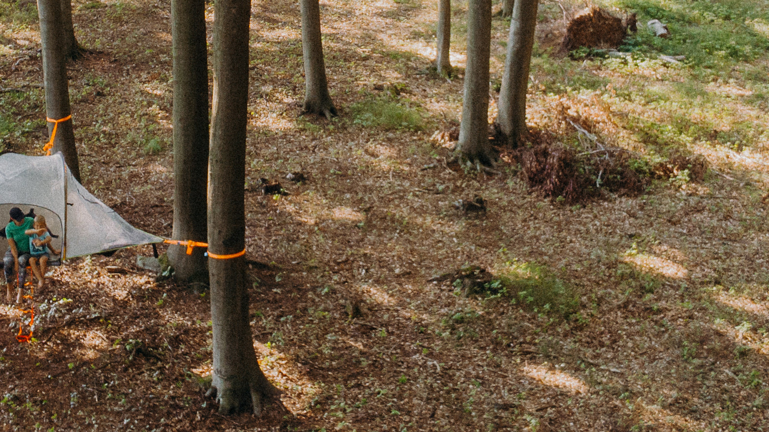Tree Tent FAQs