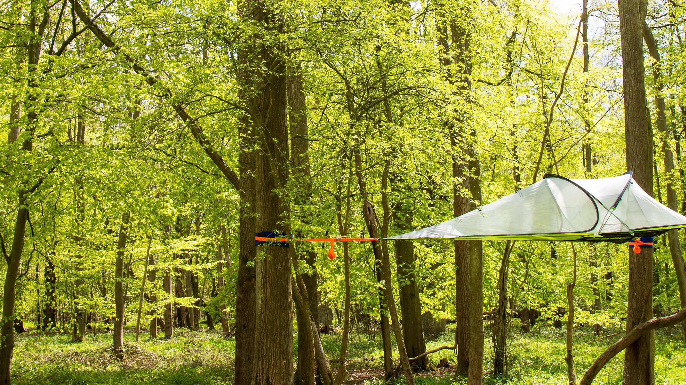 Ultimate Camping Guide: Utah