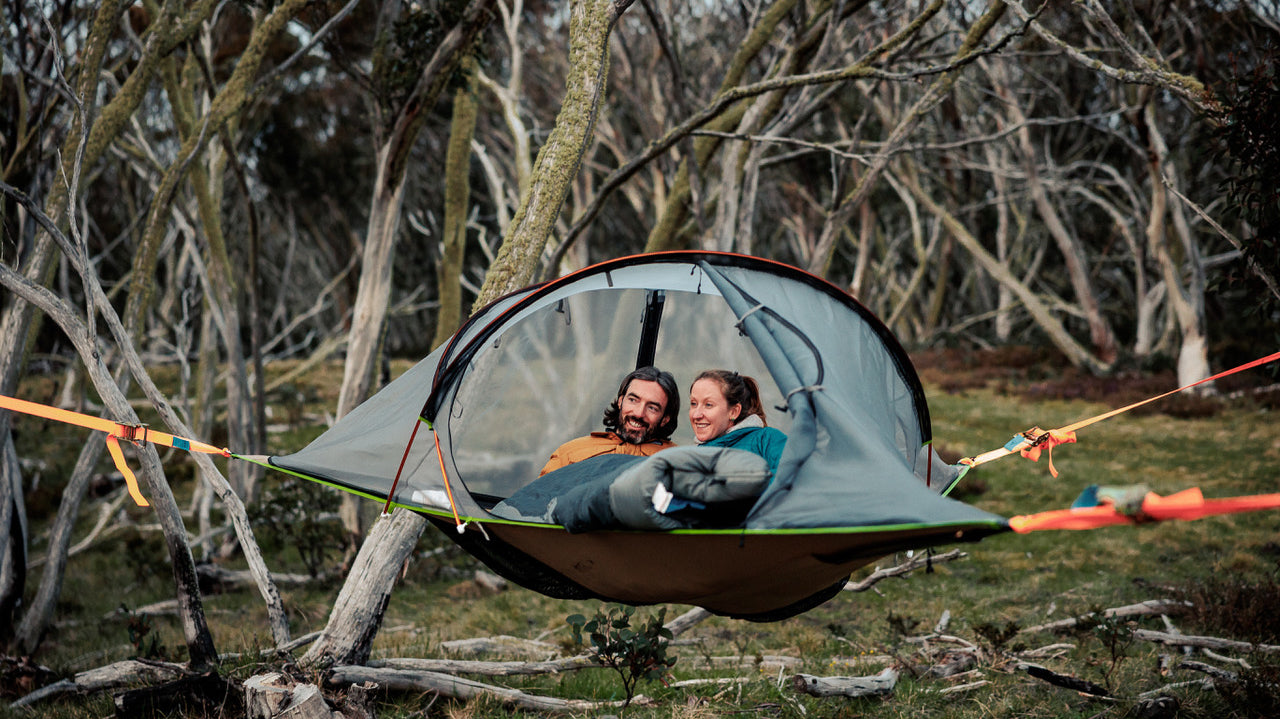 Heal with the Forest