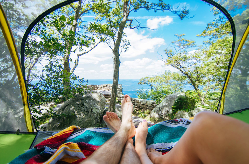 sea view from tree tent (4351170936905)