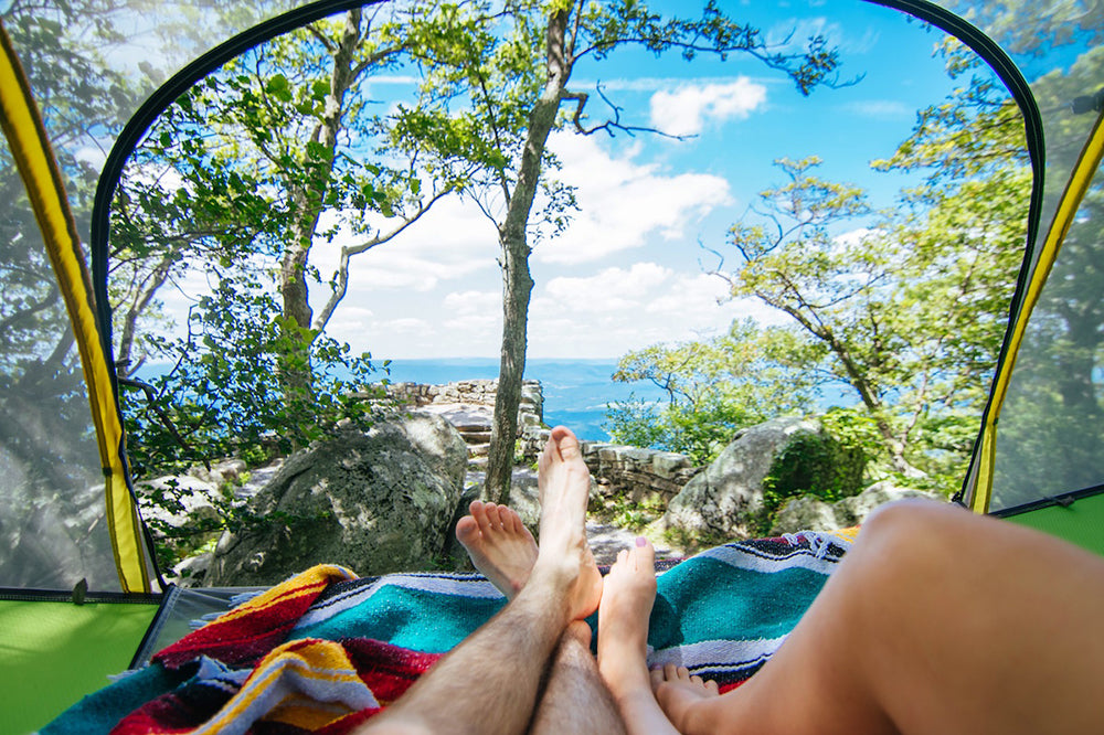 sea view from tree tent (4351170936905)