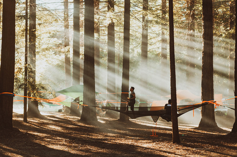 man stood in camping hammock in forest (4373048033353)