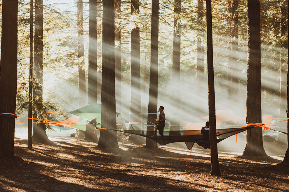 man stood in camping hammock in forest (4373048033353)