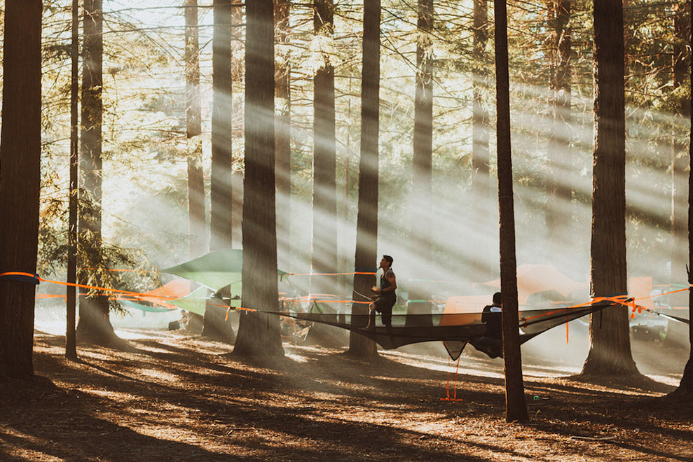man stood in camping hammock in forest (4373048033353)