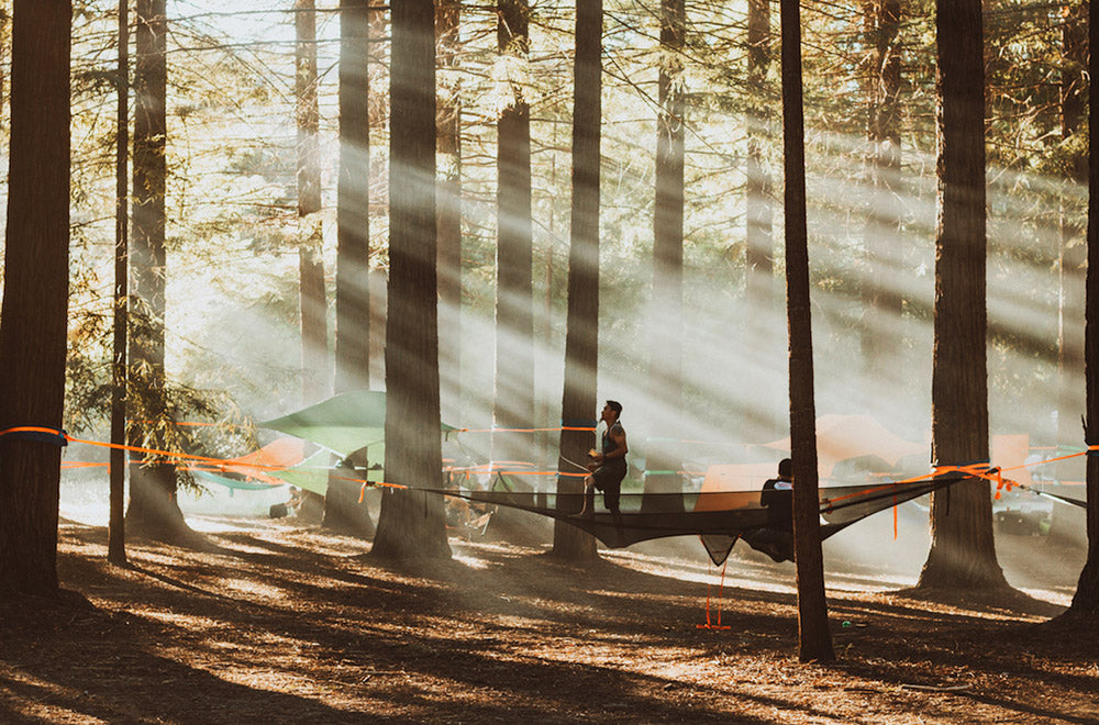 man stood in camping hammock in forest (4373048033353)