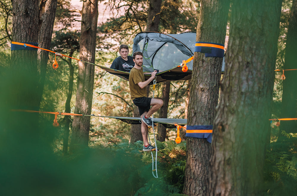 Safari Ladder (3.0) (6650684473417)