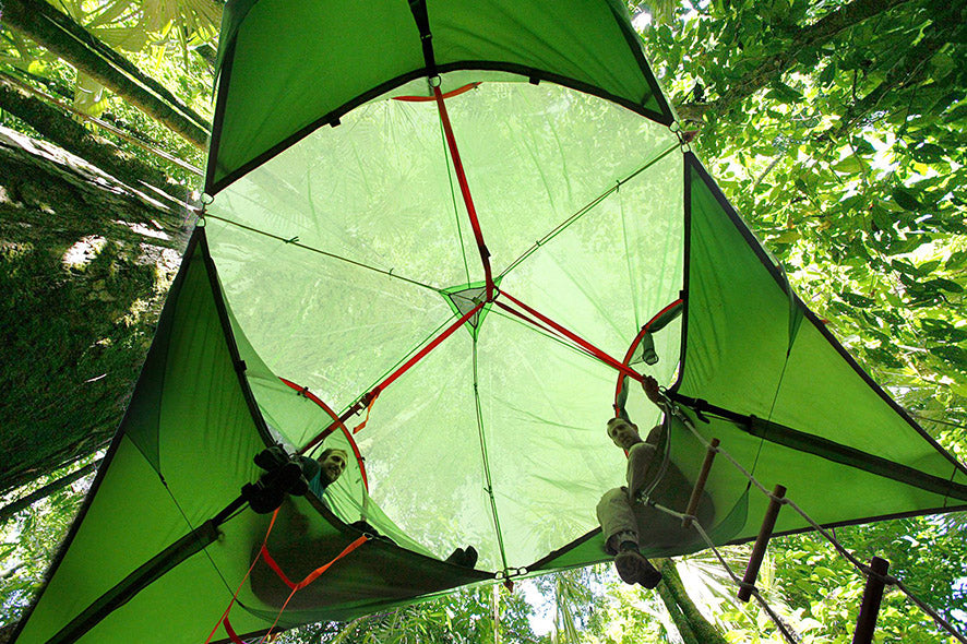 underneath trilogy super tree tent (4378250936393)