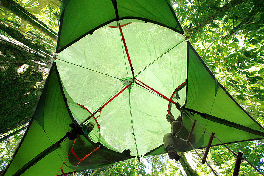 underneath trilogy super tree tent (4378250936393)
