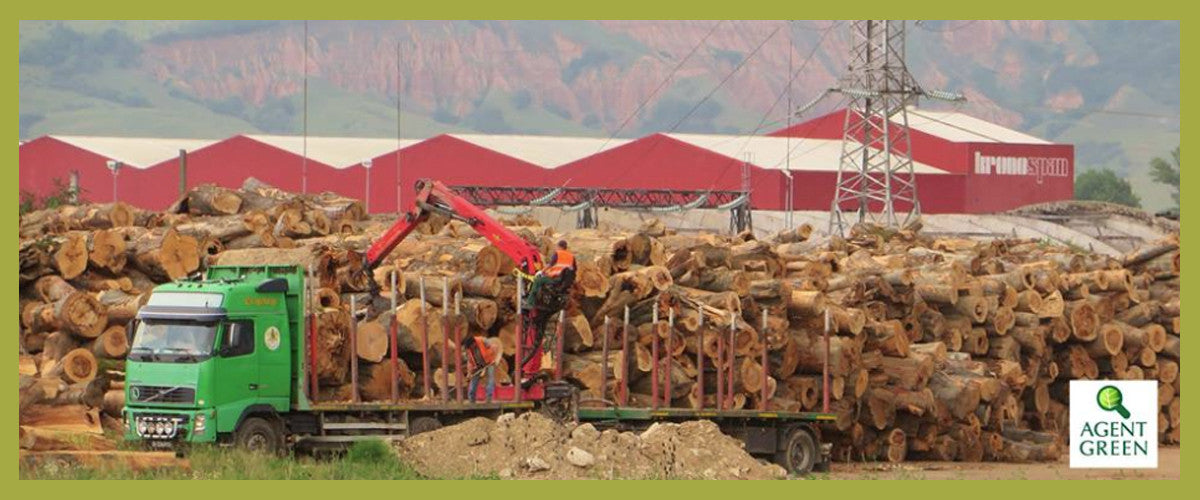 #EchoChamberDisruption – Expand Your Tree Knowledge