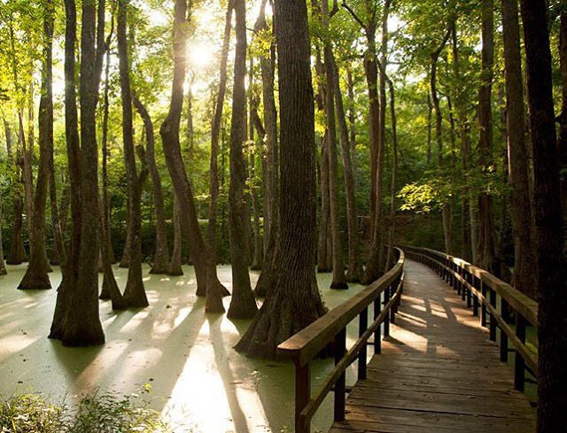 #GetOutAndGO: 40 Days Celebrating America's Outdoors (and Trees!)