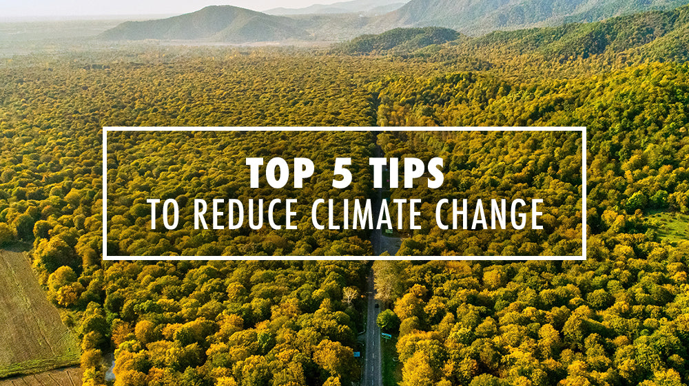 5 Tips to Reduce Climate Change