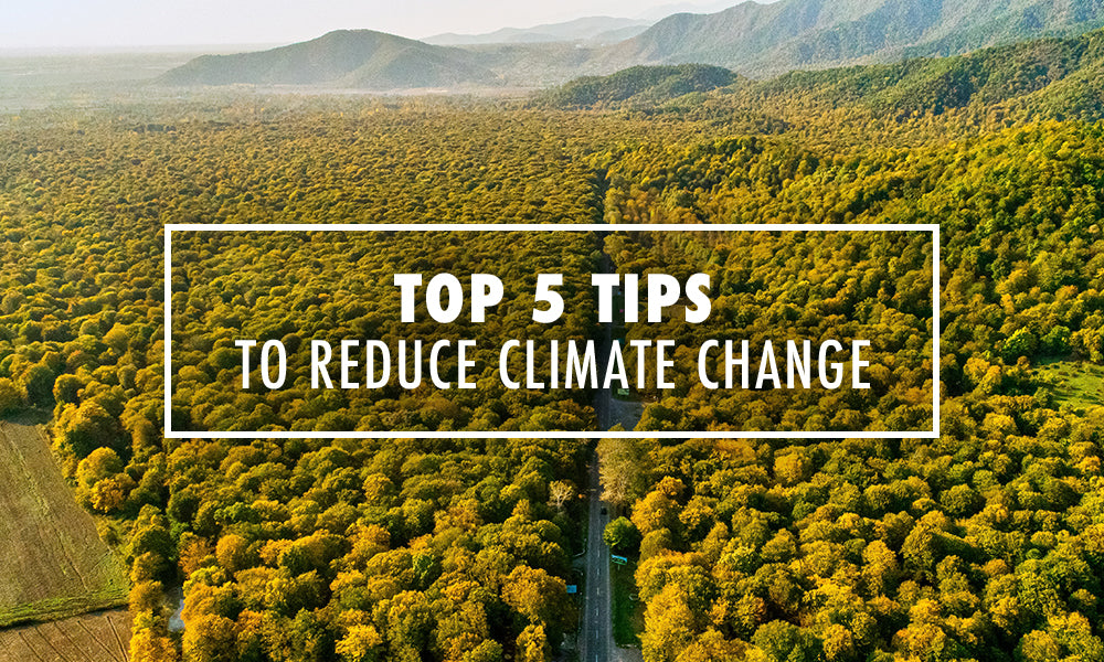 5 Tips to Reduce Climate Change