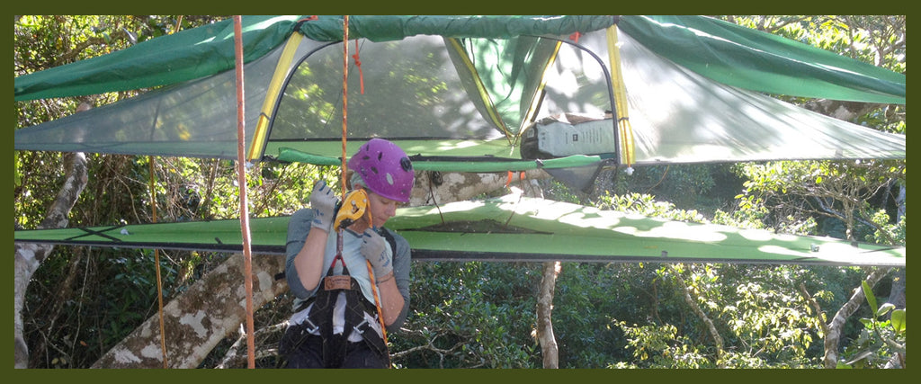 #BecomeOneOfTheMillion: If You Go Down To The Woods Today…