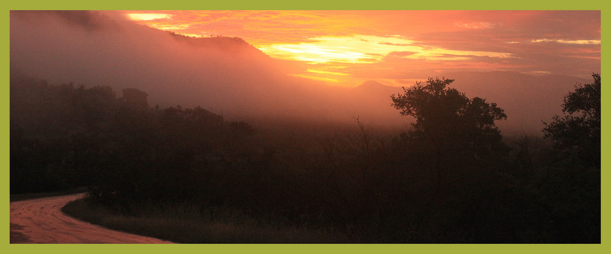 #EchoChamberDisruption: A Journey Across Africa In Search of Success