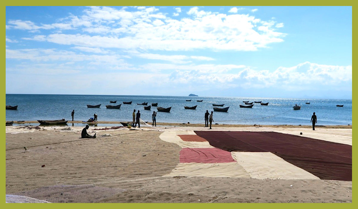 #EchoChamberDisruption: Overfishing In The Warm Heart Of Africa