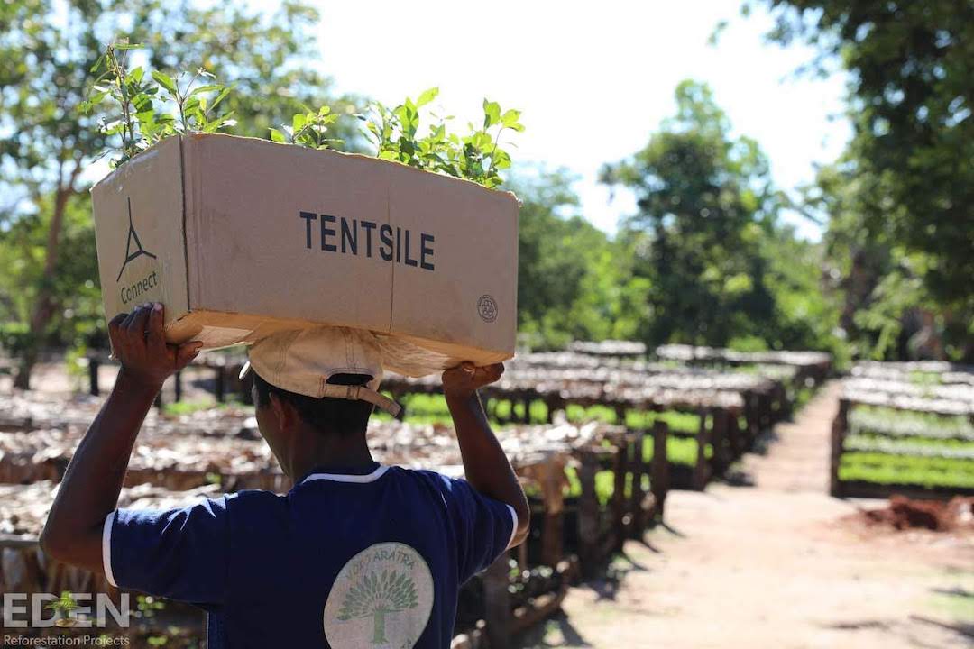 742,000 trees planted and counting!