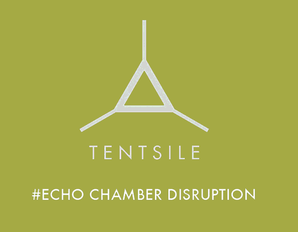 #EchoChamberDisruption: 8 Stories To Crack The Online Echo Chamber