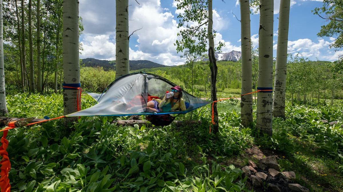Things to do in a hammock