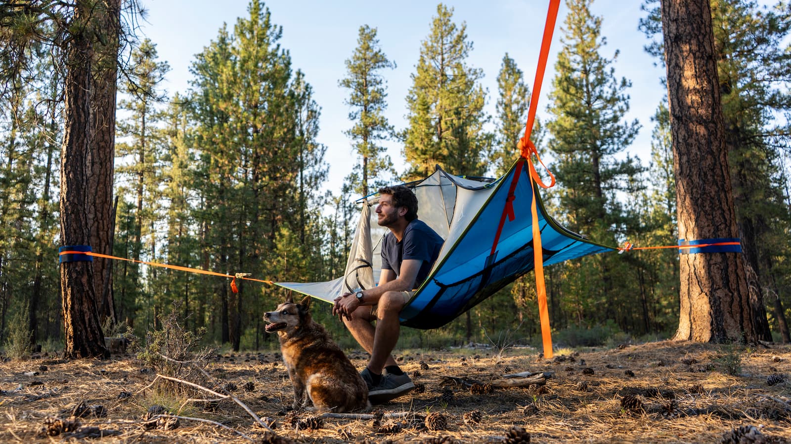 Tentsile t mini on sale