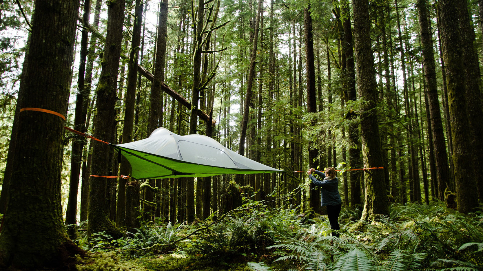 Lessons From A Small Business With Big Plans: Tentsile 2017