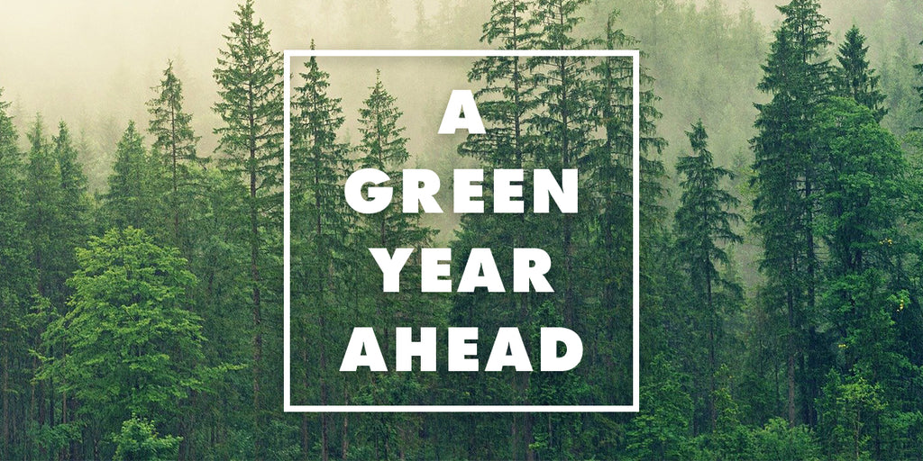 Our Journey to a Million Trees