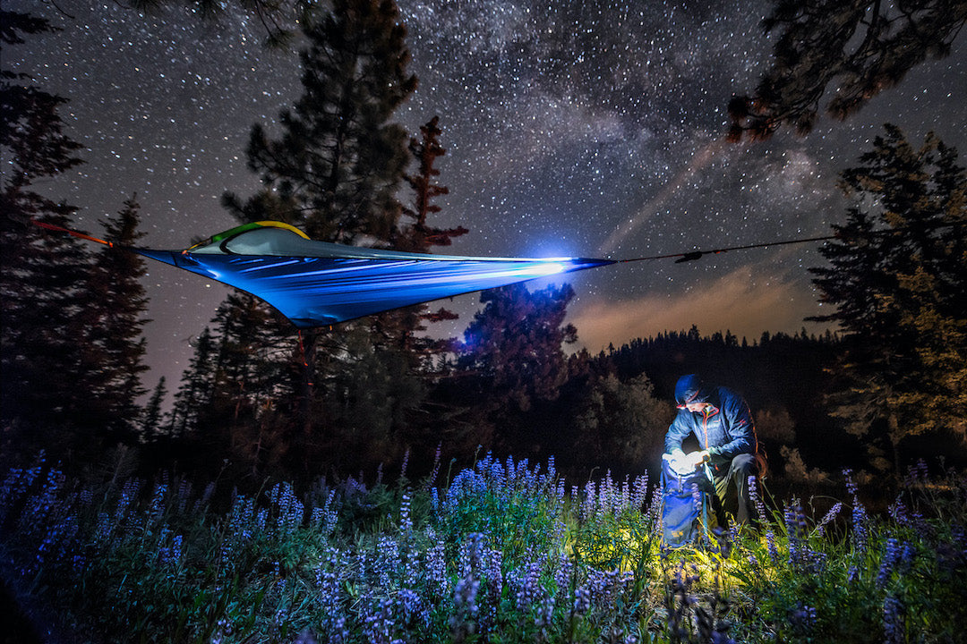 Where To Hang Your Camping Hammock