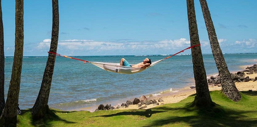 Celebrating National Hammock Day! (July 22nd)
