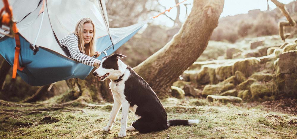 Tips on Camping with your Pet
