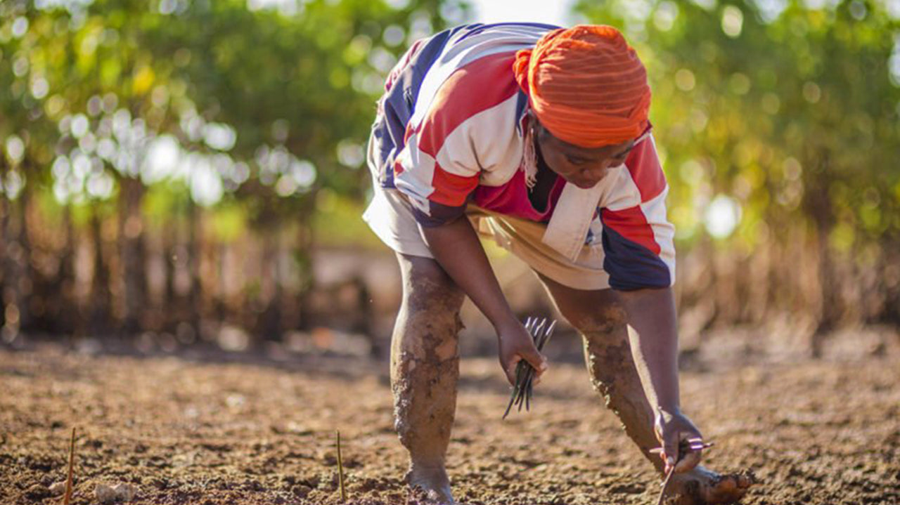 Sowing the Seeds of Change: How Eco-activism is Changing the World & What We're Doing to Help