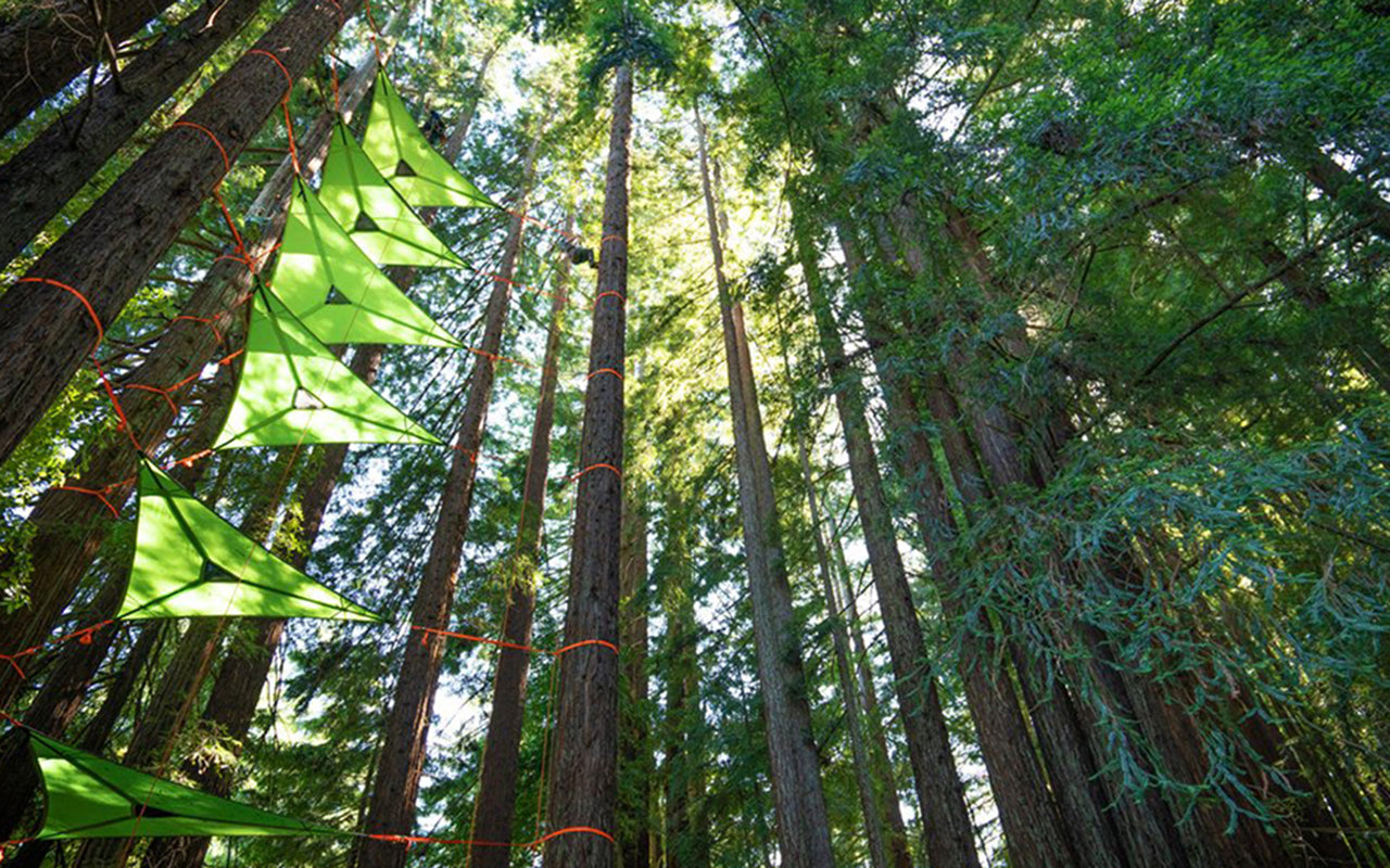Tentsile Camp Outs: Celebrating our Tree Tent Festivals
