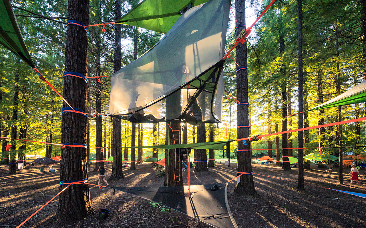 How to Create the Famous Tentsile Stack