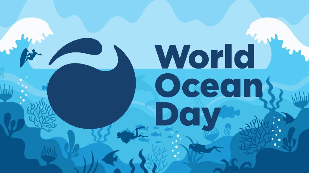 World Ocean Day 2022 and the Ocean Plastic Crisis