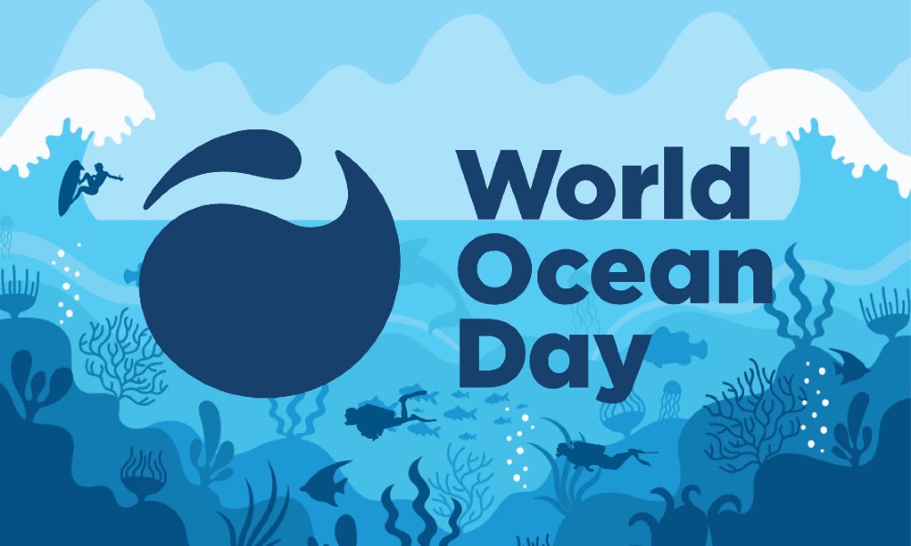 World Ocean Day 2022 and the Ocean Plastic Crisis
